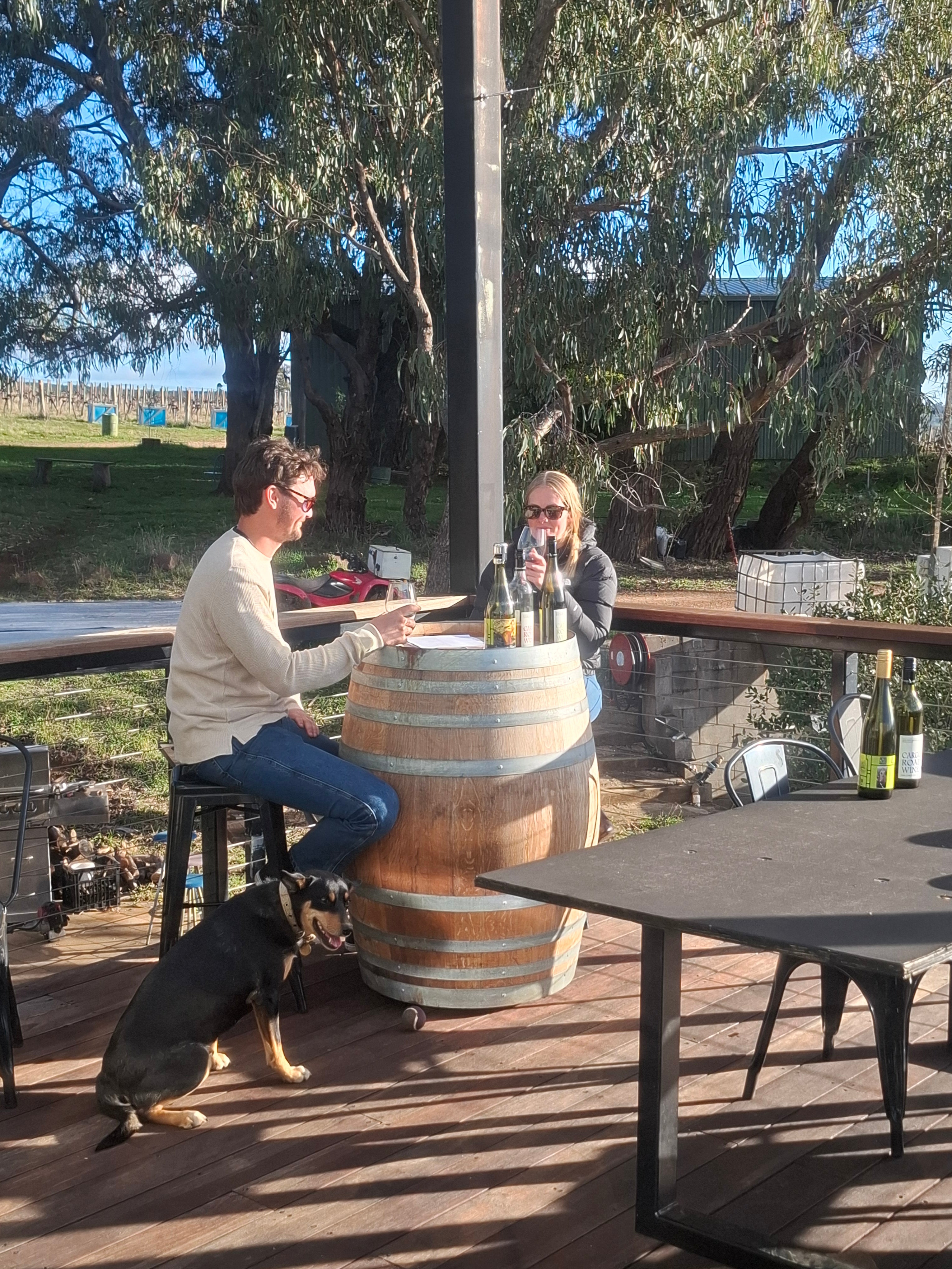 Cellar Door Tasting