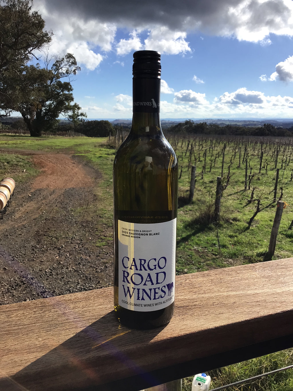 Loyal - Sauvignon Blanc 2025