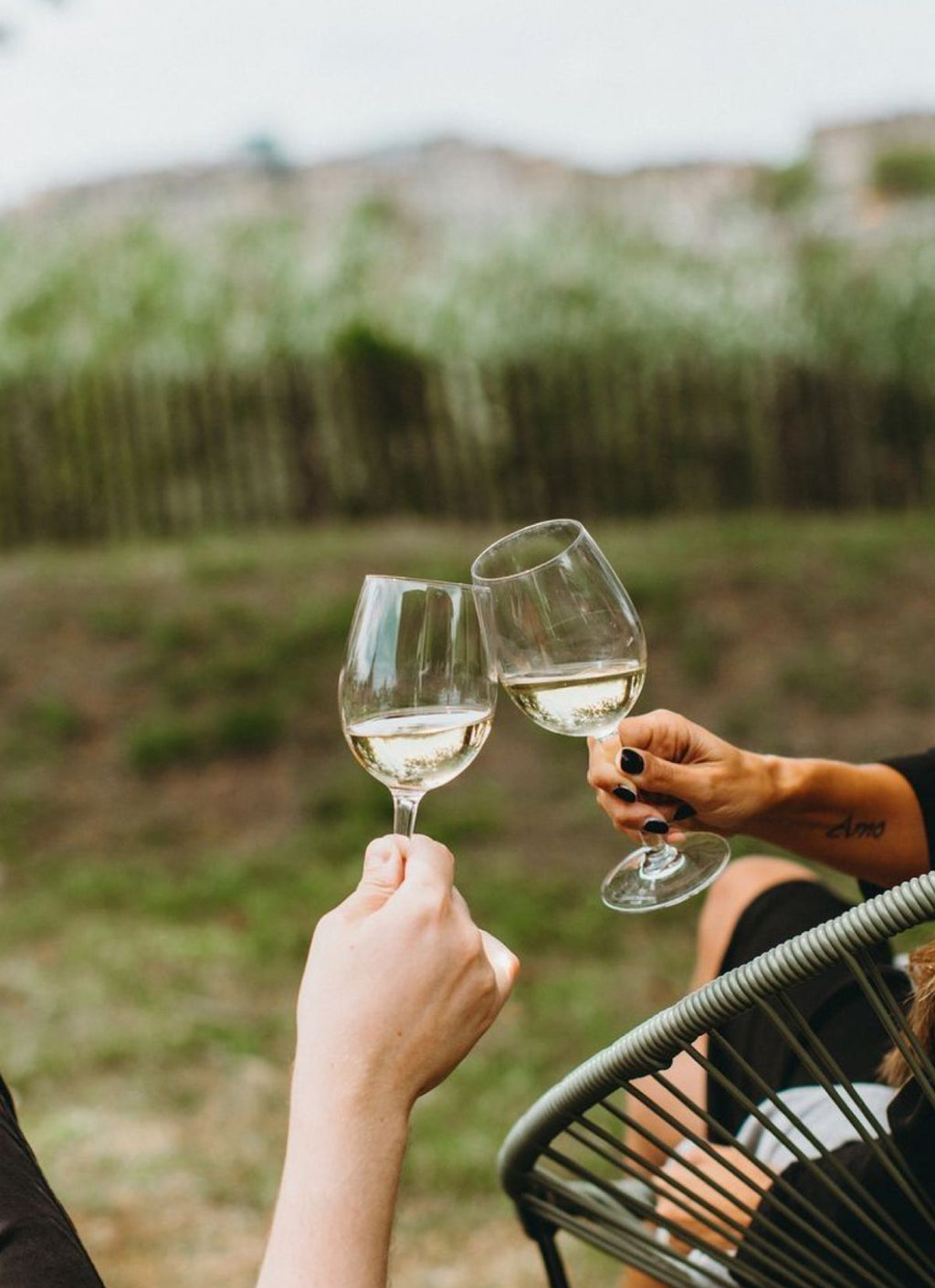 Cellar Door Tasting with The Winemaker