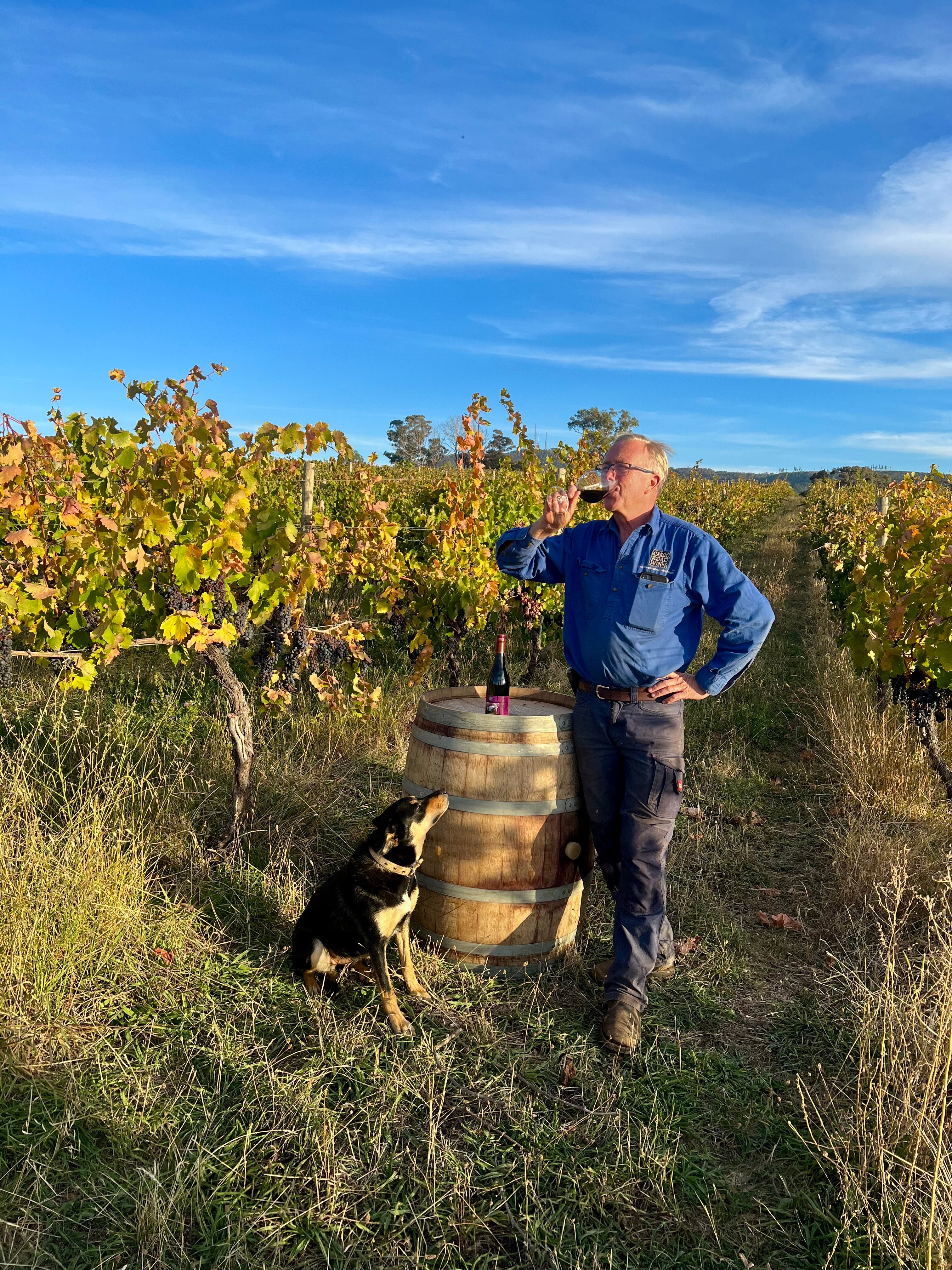 Cellar Door Tasting with The Winemaker